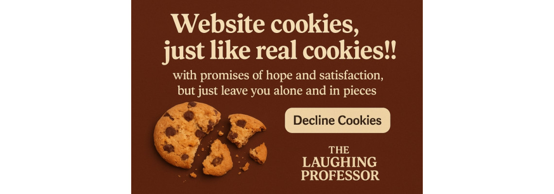 cookie consent audit