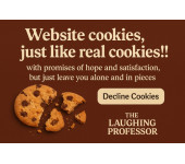 cookie consent audit