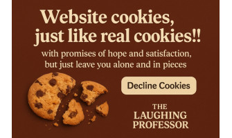cookie consent audit