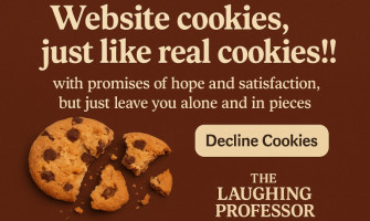 cookie consent audit