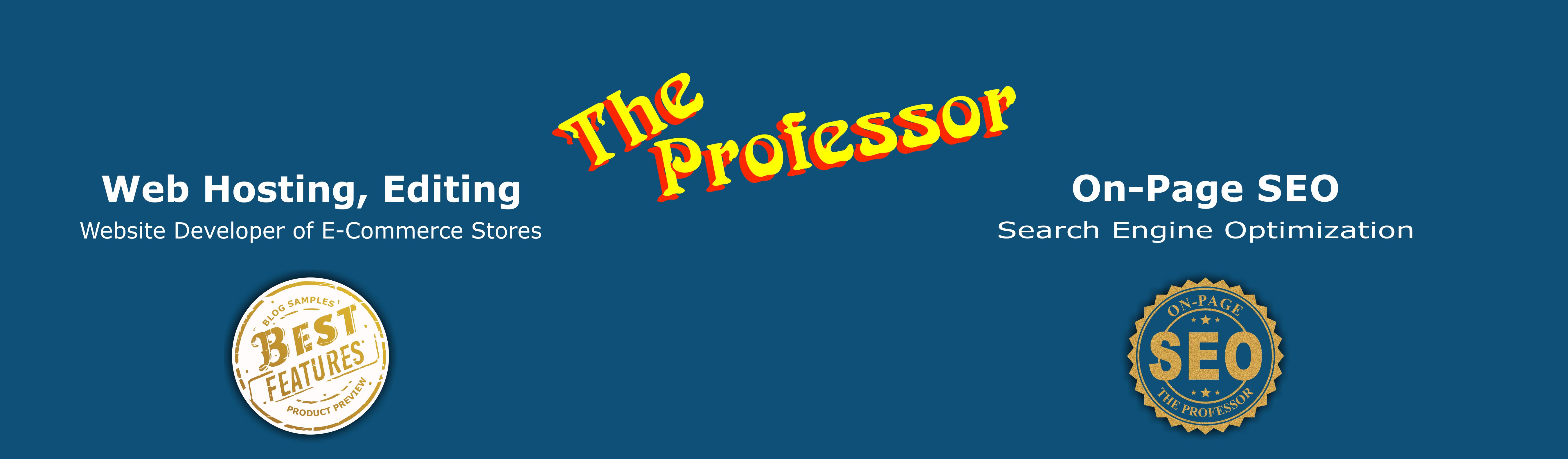 The Professor - Website Developer & SEO services