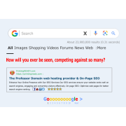 E-Commerce SEO Store Optimization E-Commerce SEO Store Optimization