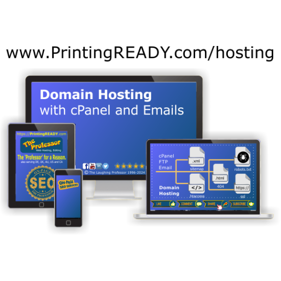 Domain Hosting (Renewal)