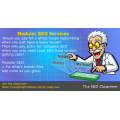 On Page Modular SEO Services  in bite-size, pay-as-you-need modules