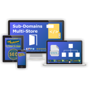 Sub Domain - Multi-Store