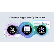 Advanced SEO + AI + Accessibility Optimization | Modular Page-Level Service