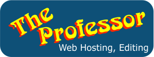 TheProfessor Domain name, and Hosting Provider Custom Website Developer of responsive E-commerce stores