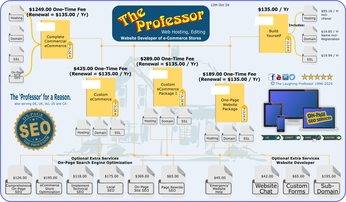 What can The Professor do for you, The seo services we offer