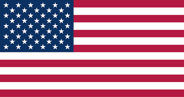 united states flag icon