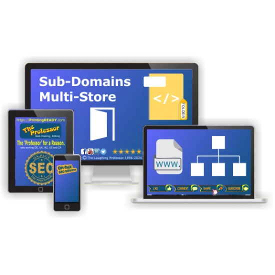 Sub Domain - Multi-Store Sub Domain - Multi-Store
